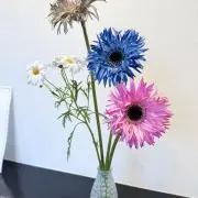 もももん