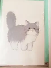 みーの画像