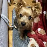 ヒサトシの画像
