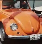 オレンジビートル　【プロフ必読】の画像
