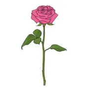 Roseの画像