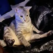 マキムラ
