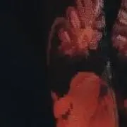 くろすけ