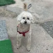 サードの画像