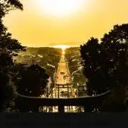 梅 野@
