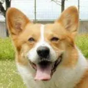 ‡翔の画像