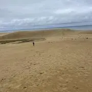ミキの画像