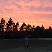 つんてる♪