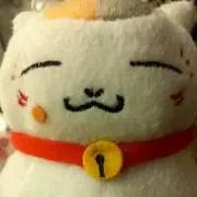 こねこさまの画像