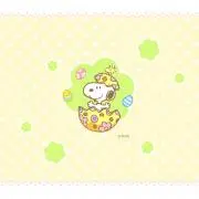 ASNの画像