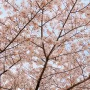 mqs_04の画像
