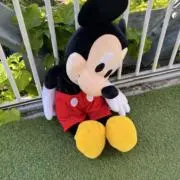 maimaiの画像