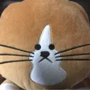 こじこじの画像