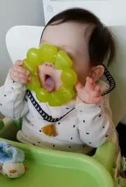 みかんの画像