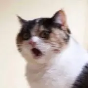 ゆうの画像