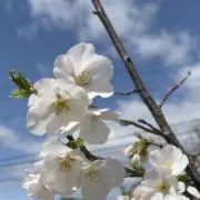 断捨離。の画像