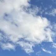 たこたこ