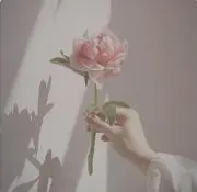 raru⭐️いいね❣️でお得セール⭐️の画像