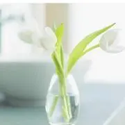 アリエル☺