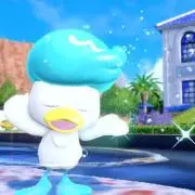 みんとの画像