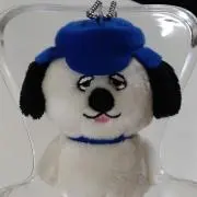 ORACCIの画像