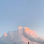 家主の画像