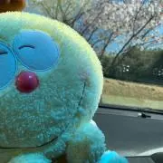 koroの画像