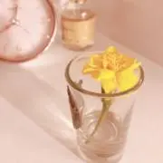 さらの画像