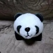 みいちゃんの画像