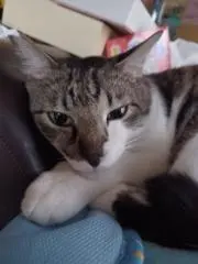 パルくん
