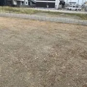 Mの画像