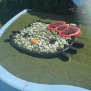 いちごの画像