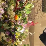 おい！　プロフィール見てねの画像