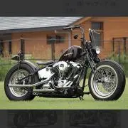 Harley-Davidson