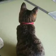 もな