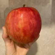 くられの画像