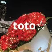 toto☆の画像