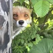 模様替え·͜· ꕤ︎︎の画像