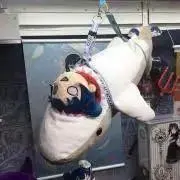 ippouの画像