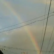 たけ