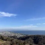 Sayaの画像