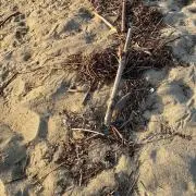 .の画像