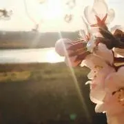 も