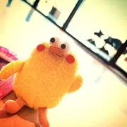 SAYAKOooo