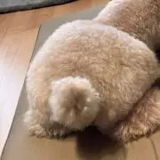 株式会社　結の画像