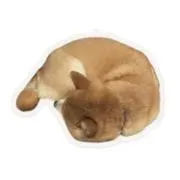 Hanaの画像