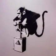 Sak paa Studioの画像