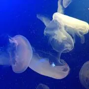 iw(まとめ割りします)の画像
