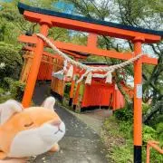 Fuxha【ふくすは】の画像