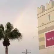 チーズの画像